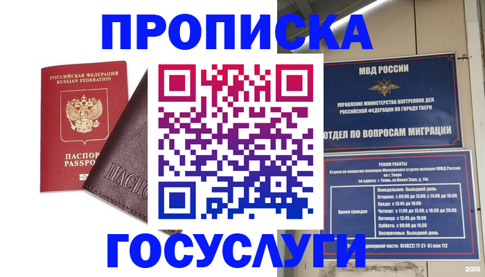 временная регистрация госуслуги в Щёлково